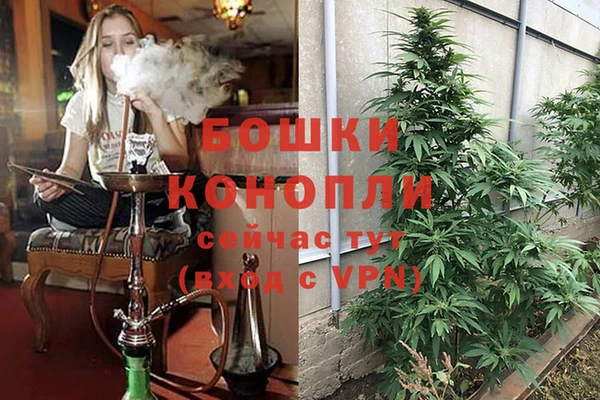 СК Абдулино