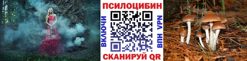 Псилоцибиновые грибы MAGIC MUSHROOMS  площадка Telegram  Уржум 